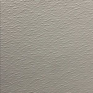 Meet your Posher, Cesar